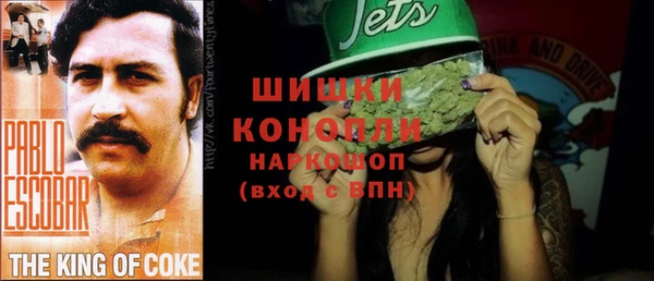 гашик Гусиноозёрск