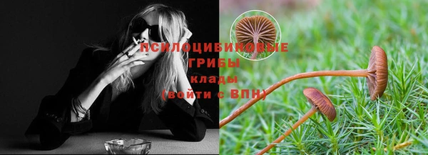 меф Дмитров