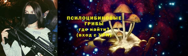 твердый Гусев