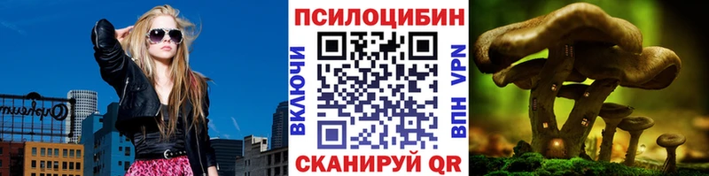 купить  цена  Плавск  Псилоцибиновые грибы Psilocybe 